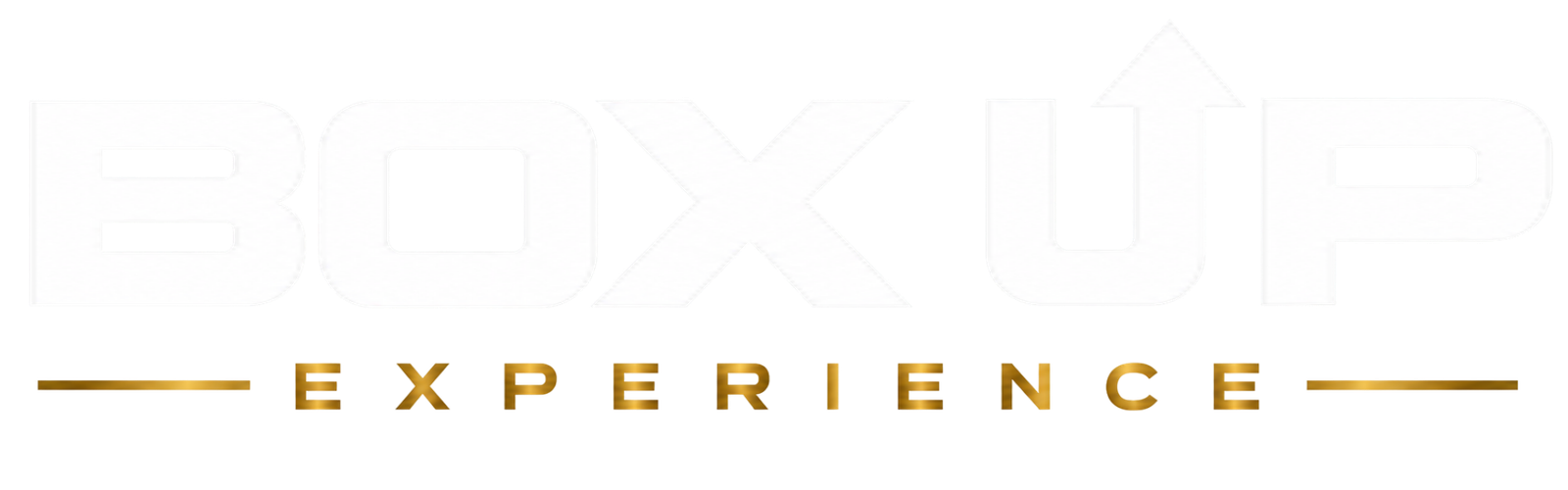 Level Up Experience